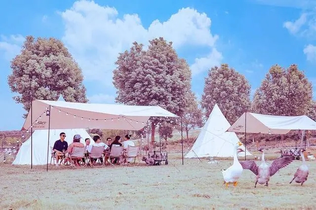 房车生活家大塘金山野营地 以露营为名在家门口“度假”